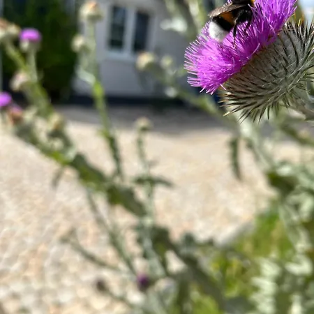 Wieckinger