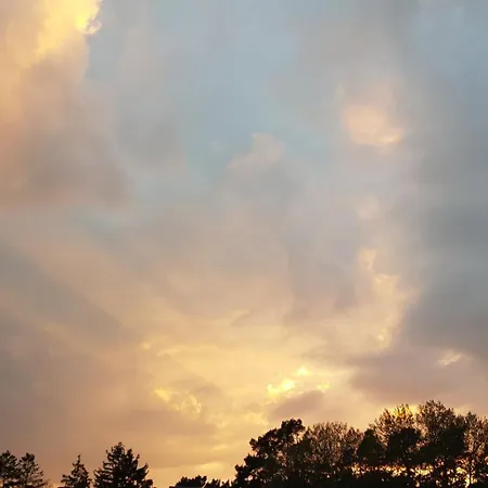 Appartement Wieckinger *